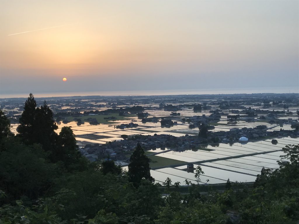 田植えのシーズンやちゃ