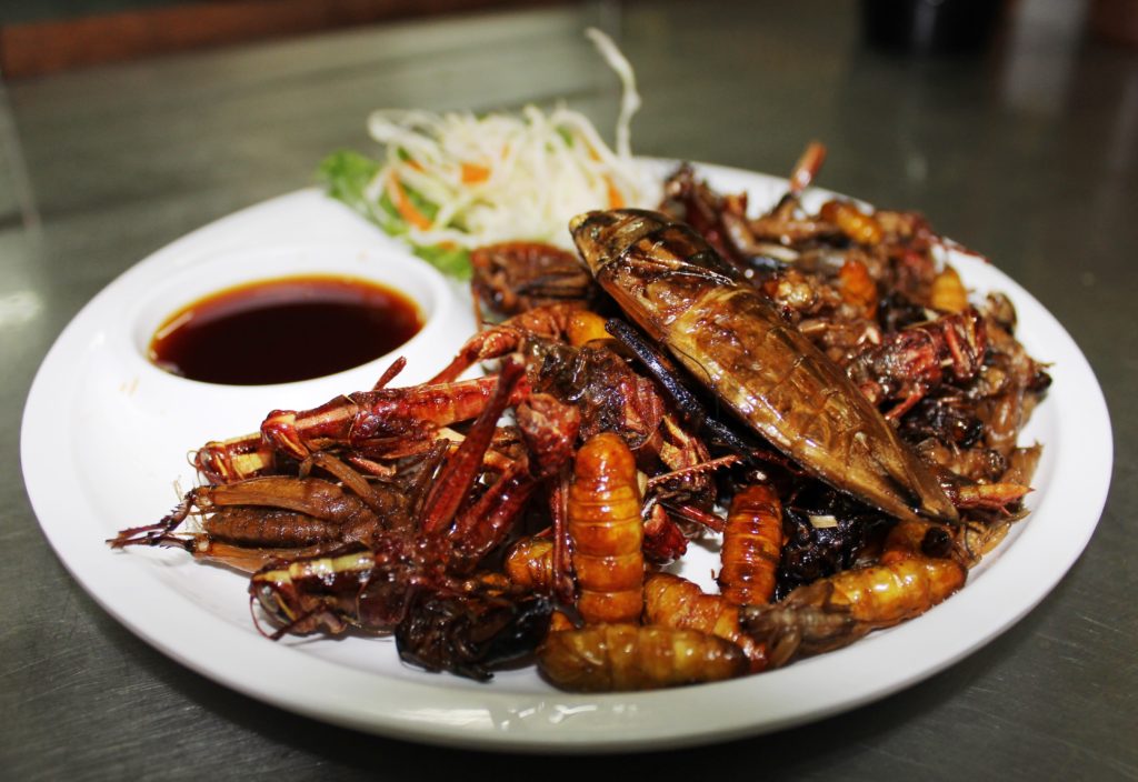 https_s3-ap-northeast-1.amazonaws.compsh-ex-ftnikkei-3937bb4images41265926214-1-eng-GB20150228_insects5