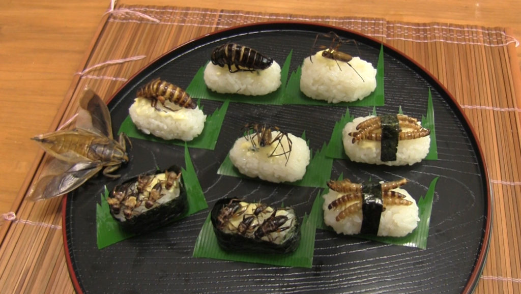 insectsushi_1