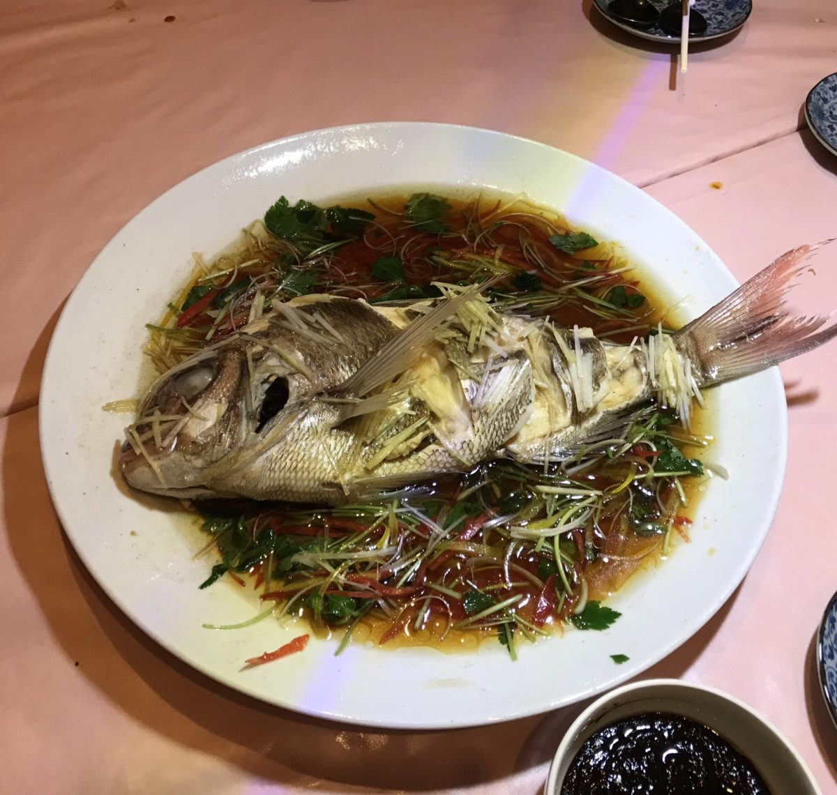 C9E4DD08-BD71-4CDF-857C-922A24BD5EA9